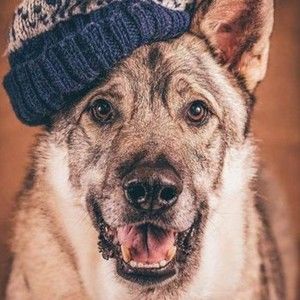 Meet your Posher, Chad